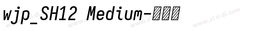 wjp_SH12 Medium字体转换 wjp_SH12 Medium字体转换
